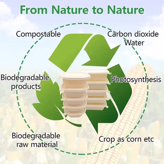 使い捨て食品容器卸売コーンスターチサトウキビバガスストレージ生分解性弁当テイクアウト高速ランチボックス蓋付き